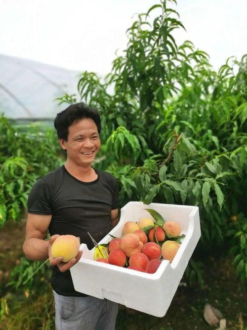 吃瓜现场第一位网红是谁,揭秘第一位网红的诞生之谜 第2张 吃瓜现场第一位网红是谁,揭秘第一位网红的诞生之谜 第2张