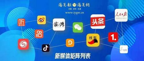 视频爆料自媒体有哪些,视频爆料背后的秘密与影响