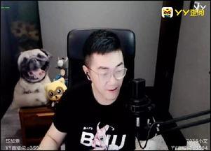 毕加索爆料视频,独家爆料视频背后的艺术人生  第3张